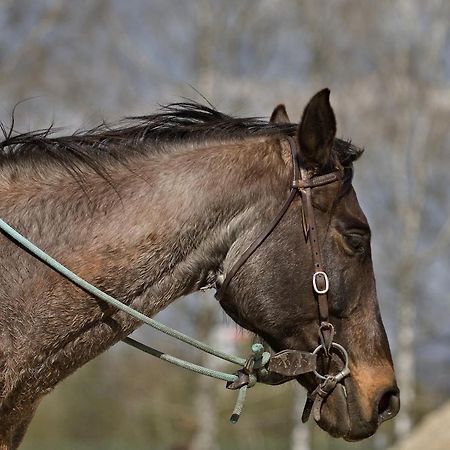 Domceky Na Ranci Lägenhet Sucany Exteriör bild